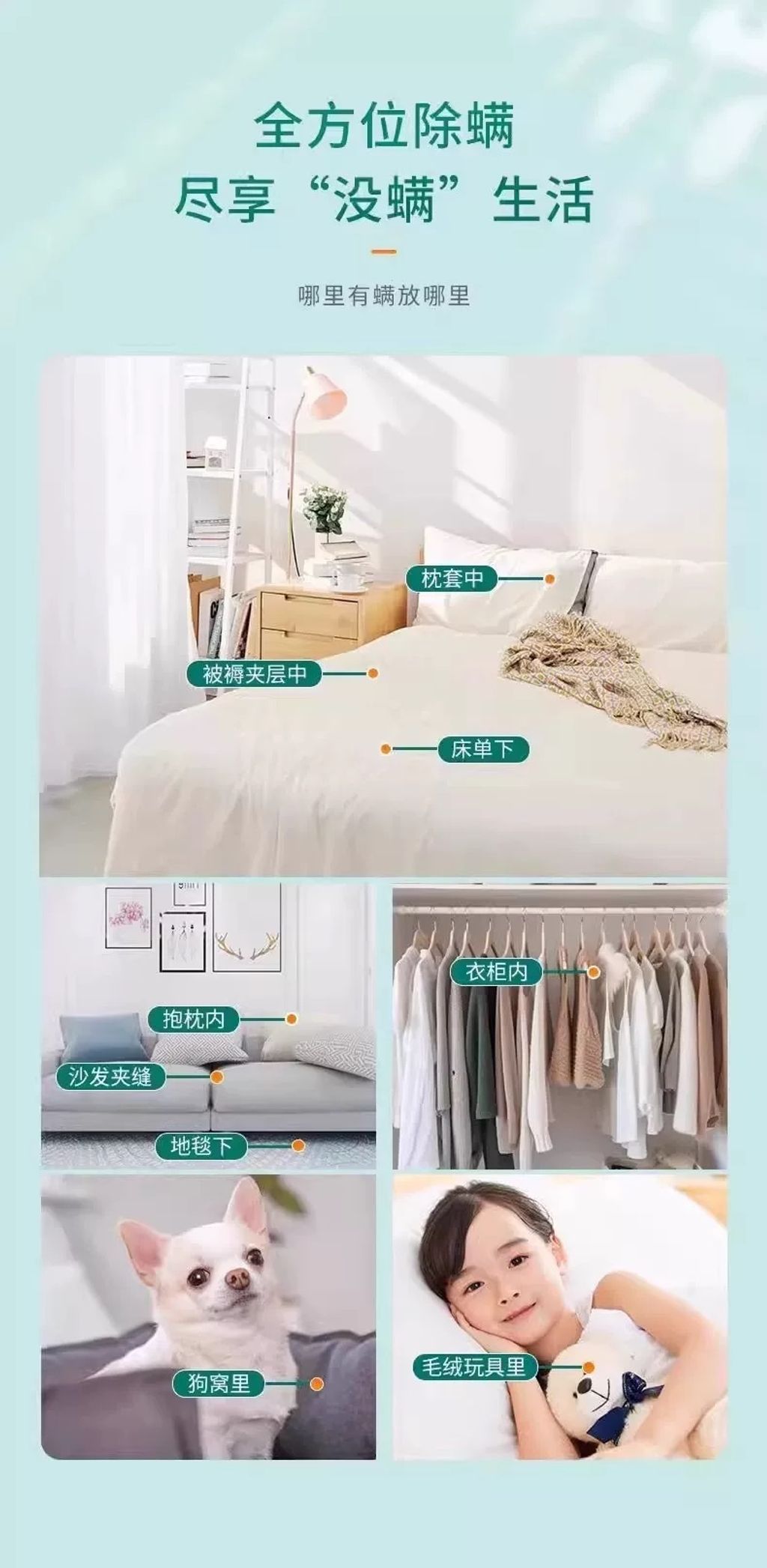 image_C0907AC6-D747-4923-8F3B-07B4951CE8D1_1757224105