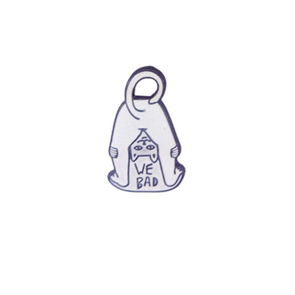 PIN411