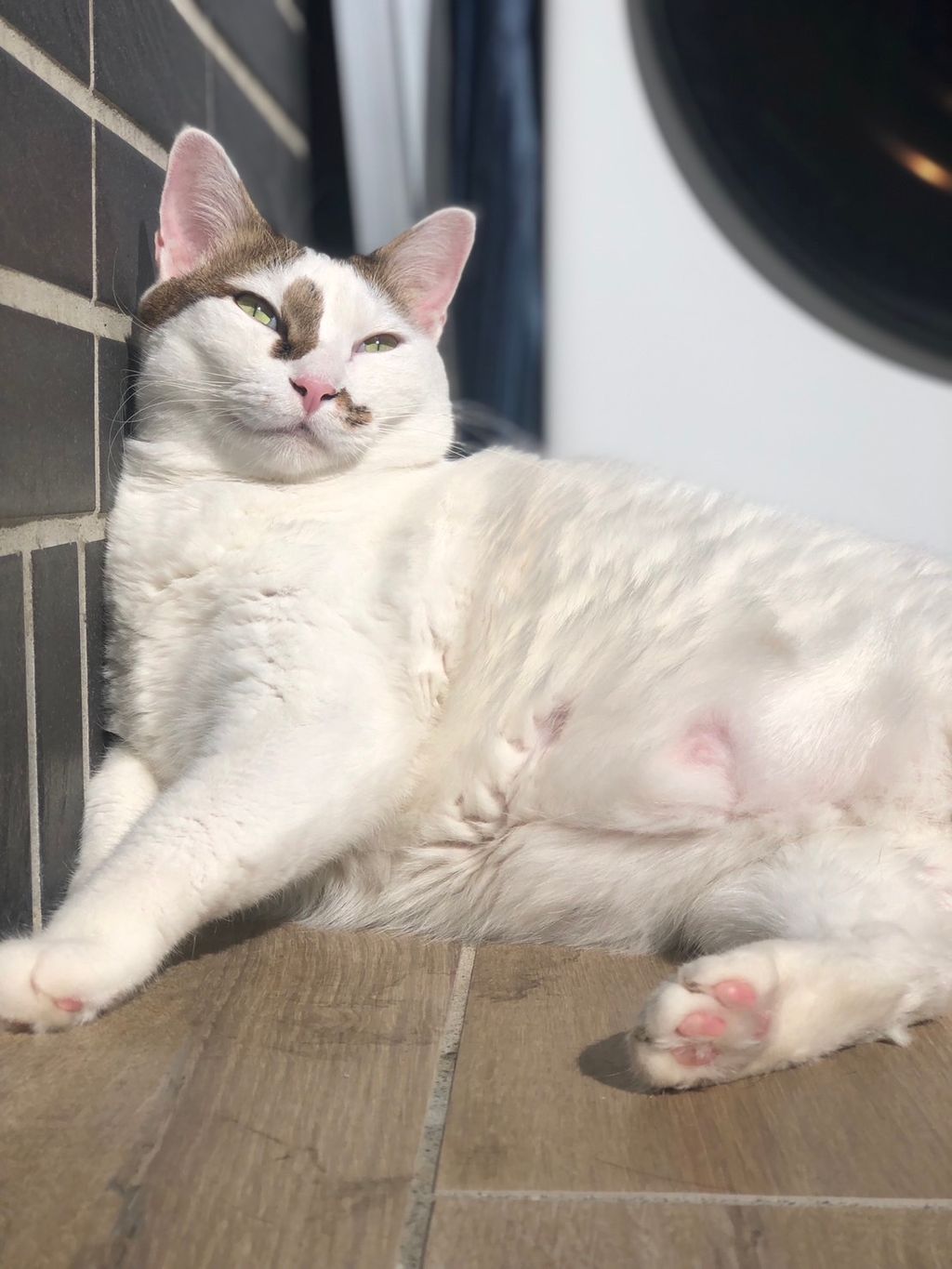 IMG_4311-1723694424589