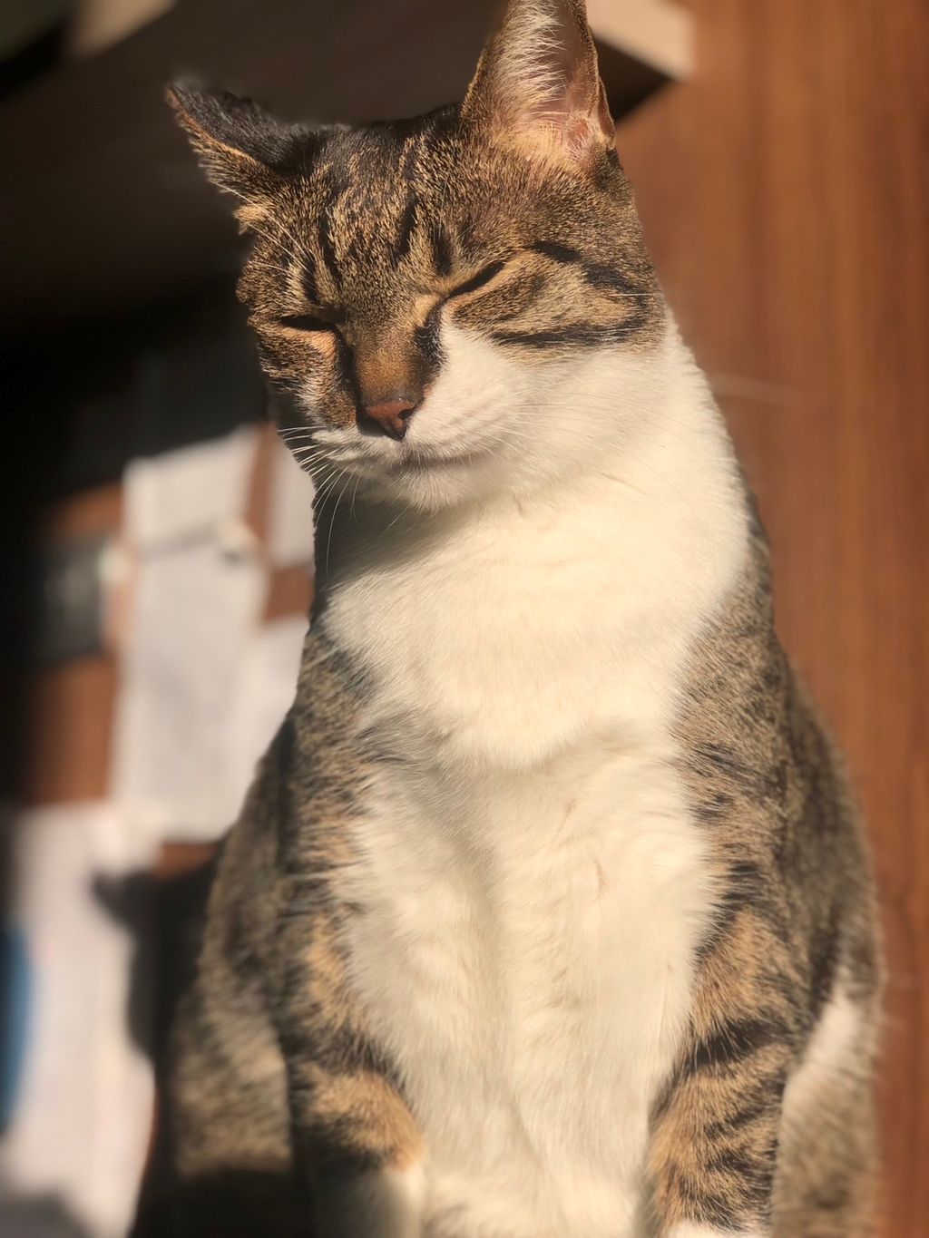 IMG_4313-1723694424622