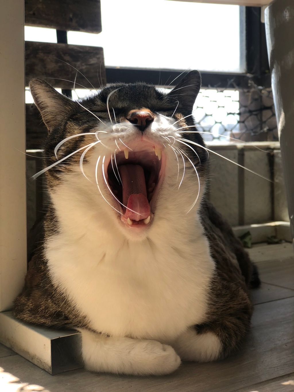 IMG_4318-1723694424691