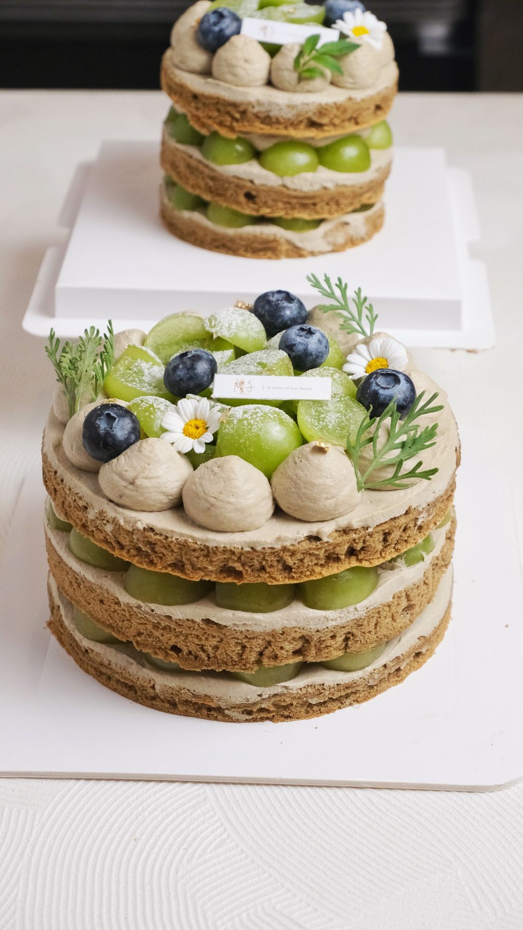 image_DA241A65-3F71-472D-9FA6-0120F4A5D113_1744621149