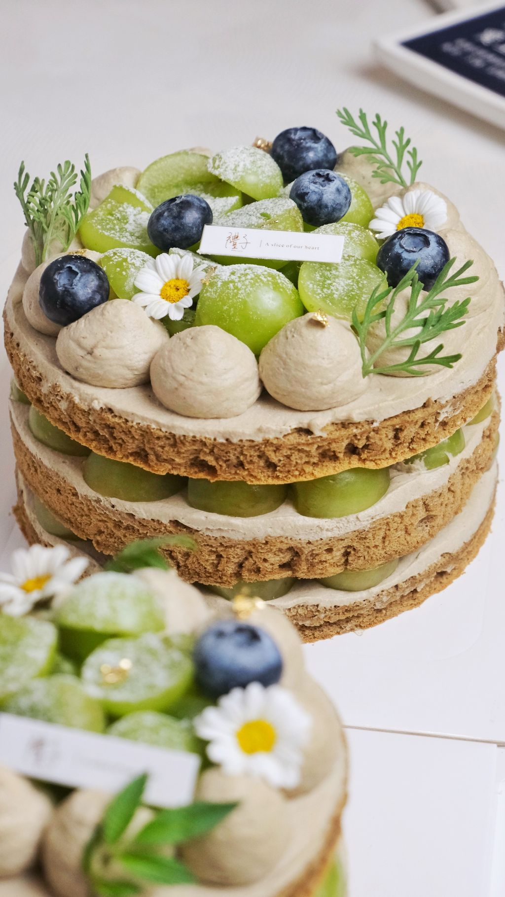 image_5AA8CBC1-E13D-44E5-85C4-466933BC7DF0_1744621149