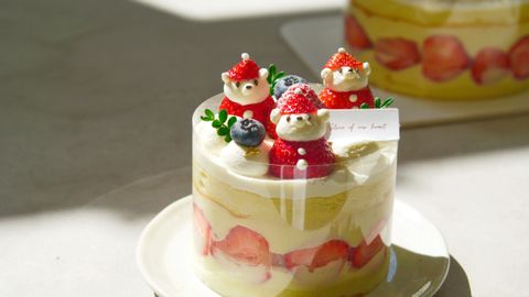 image_6F7CE6E0-9E0C-4215-BC95-6C15E5C595A5_1765329088