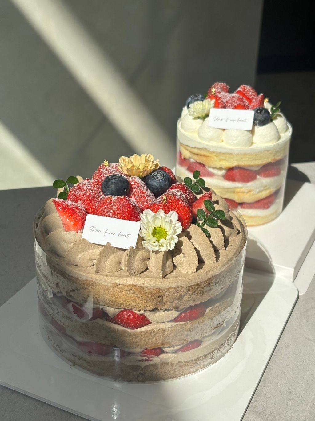 image_CAF8E8E1-4D51-4CAE-9FD1-56D807F9D9D5_1765698242