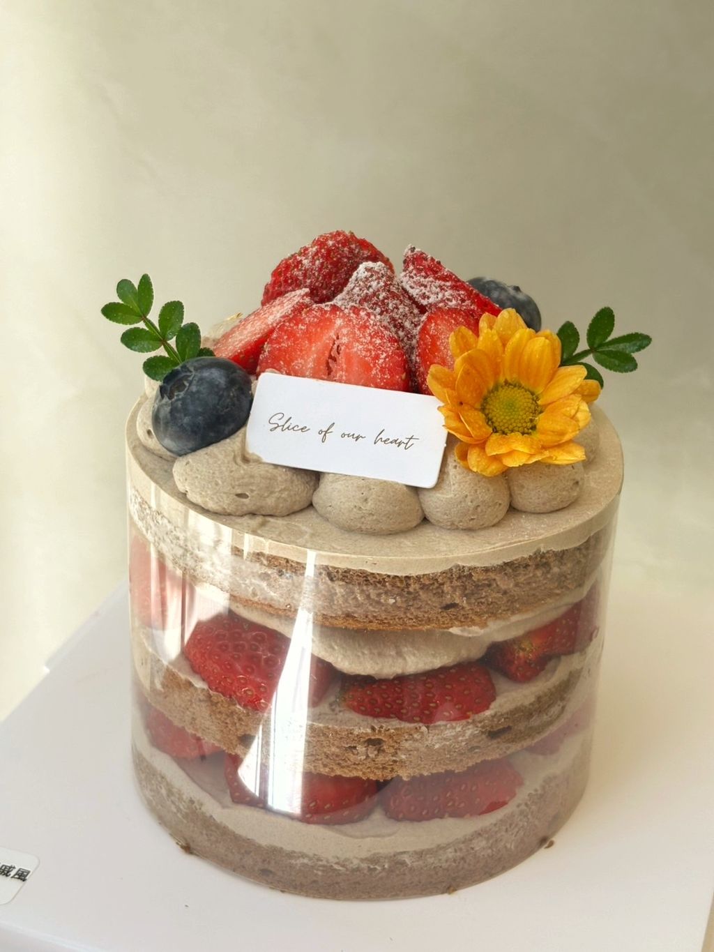 image_BCE36096-DA3F-4C92-AC3D-394F76D80C50_1765698242