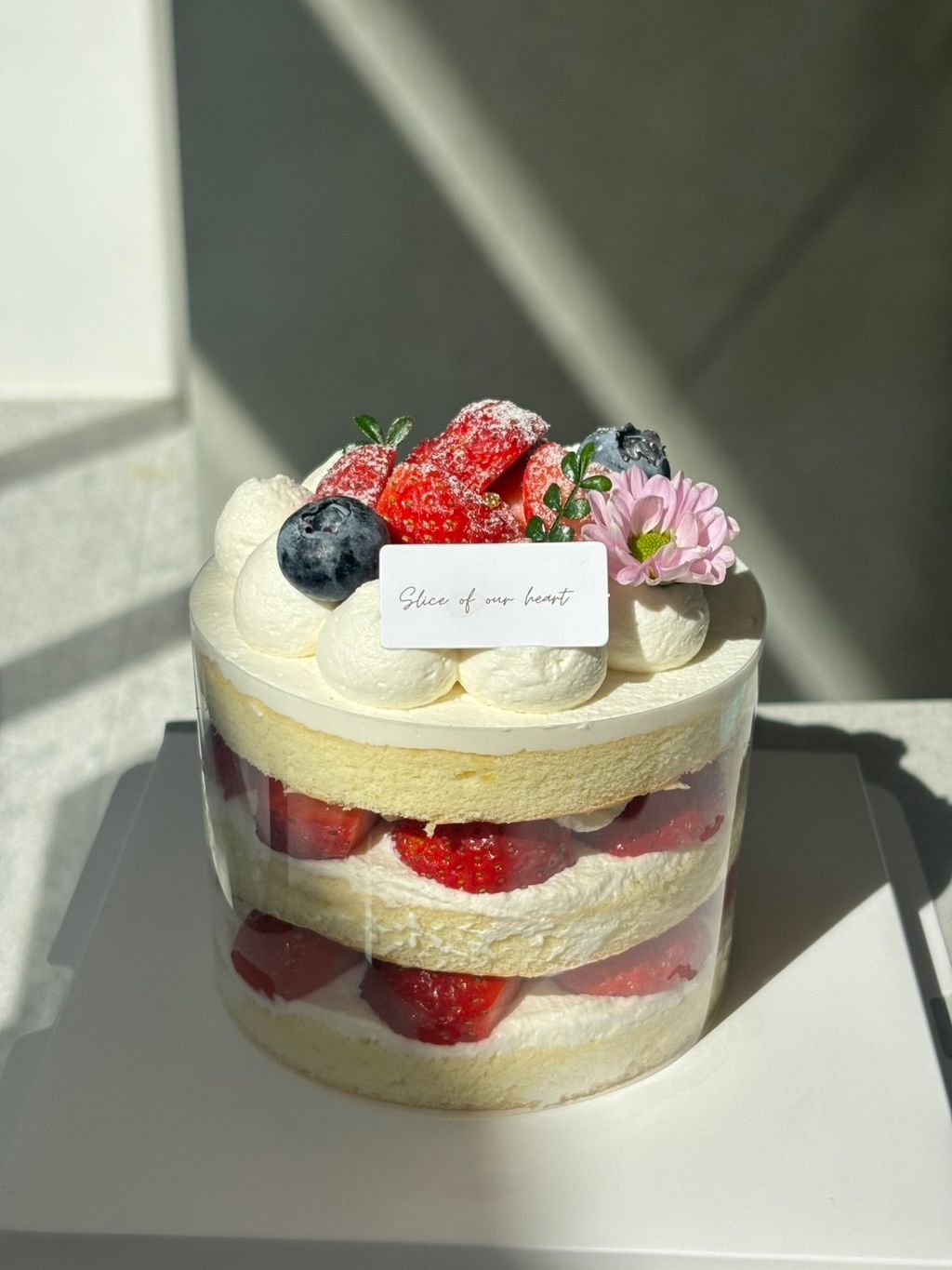 image_4D981929-2424-4C6A-96F0-DCB2FBD1426B_1765698242