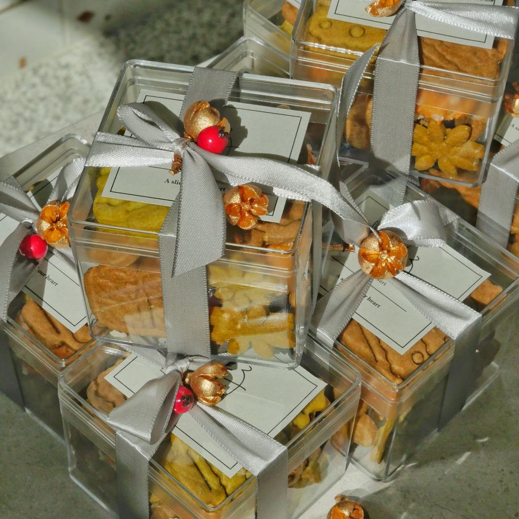 image_8041CB4E-E78D-4B41-BBF1-F9B17538EC0E_1765733455