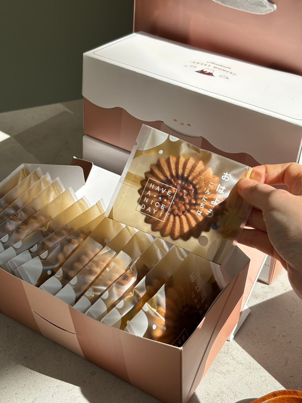 image_BD3F530E-066B-4066-B31A-D5DB96151A36_1768881802