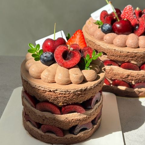 image_460D4409-D3C4-4D96-9012-04F695212342_1769322332