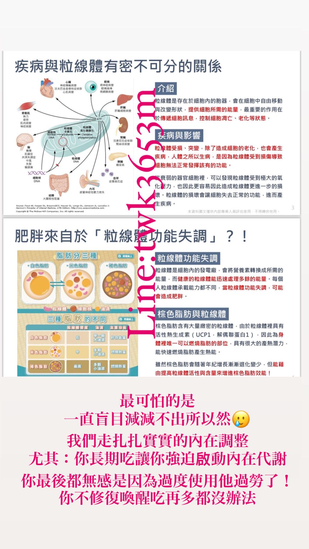 008BDA98-A85A-4489-B79F-CC9C48684B25-1724781410411