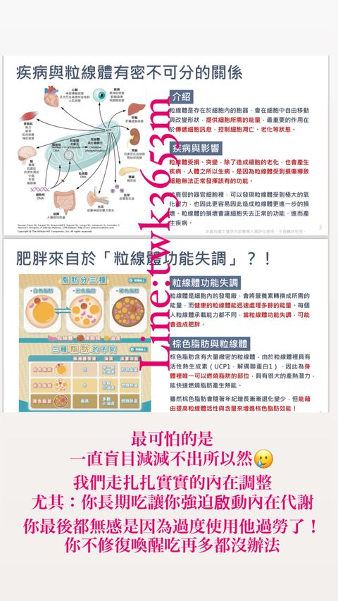 008BDA98-A85A-4489-B79F-CC9C48684B25-1724781410411