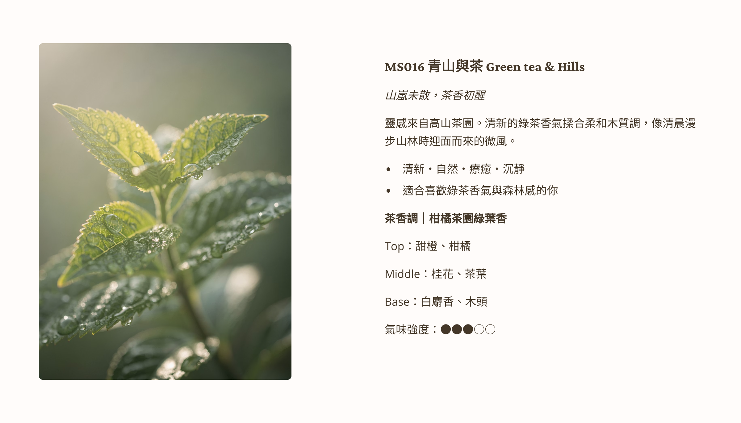 3_MS016-Green-tea-and-Hills