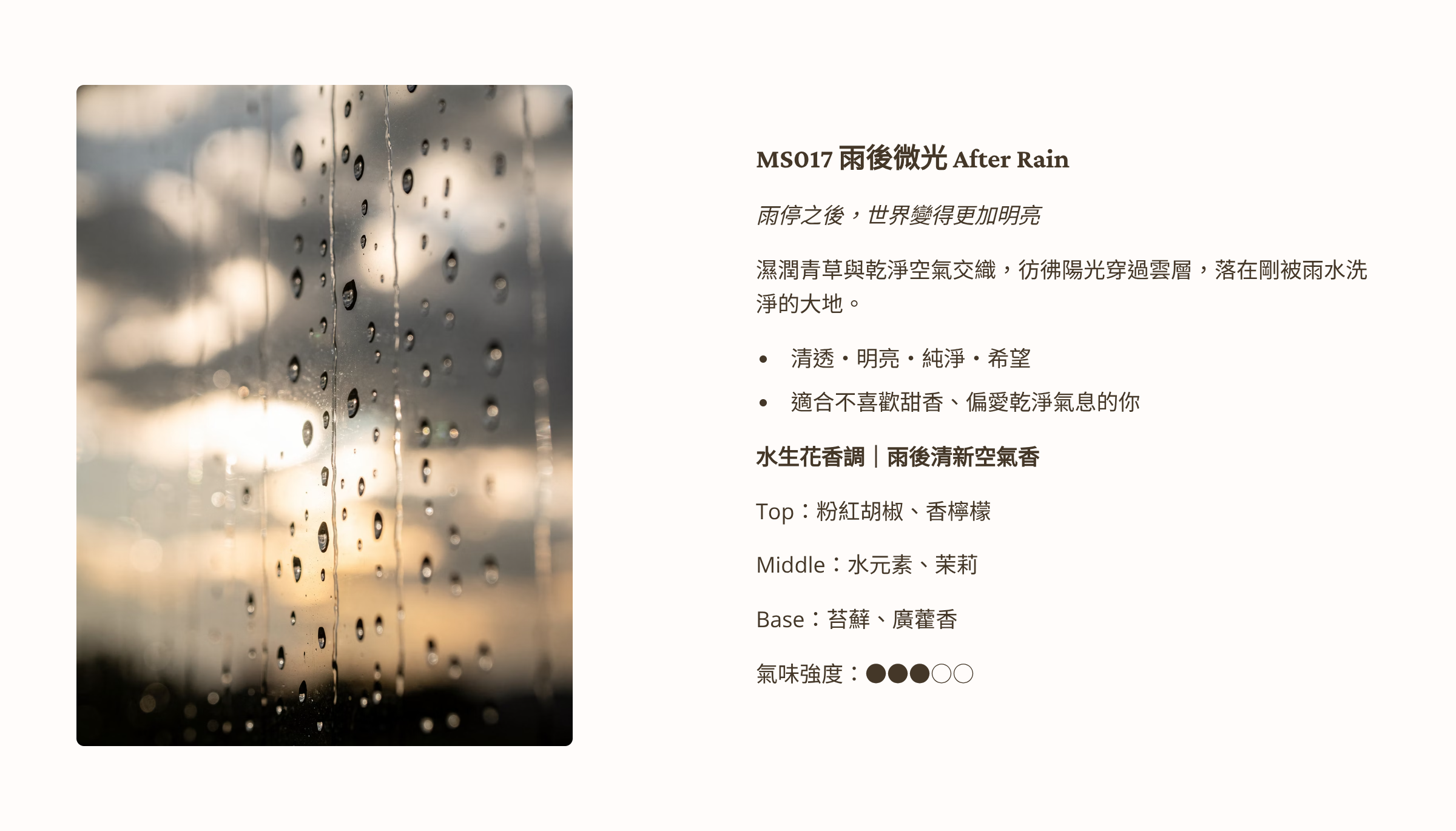 4_MS017-After-Rain