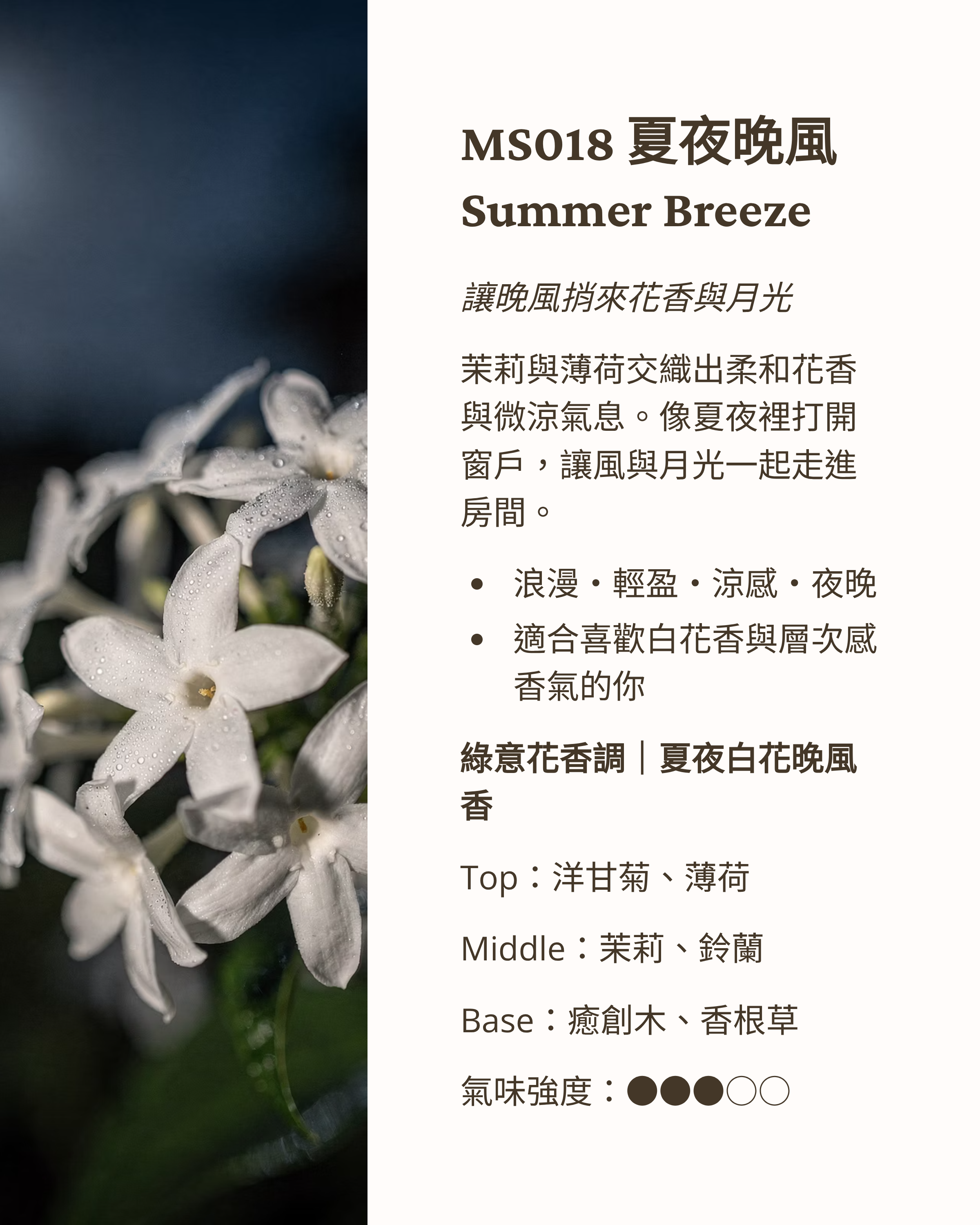 5_MS018-Summer-Breeze
