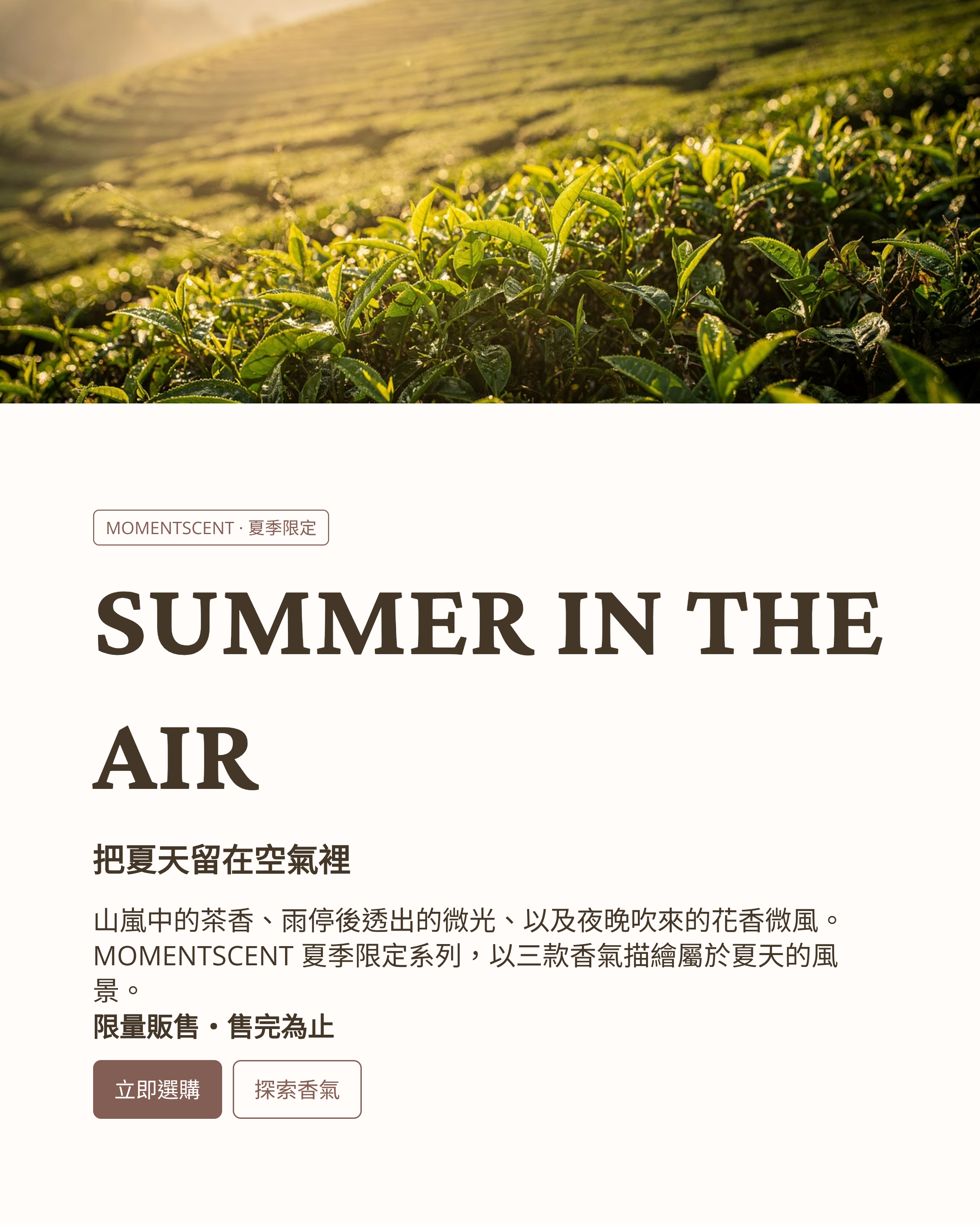 1_SUMMER-IN-THE-AIR