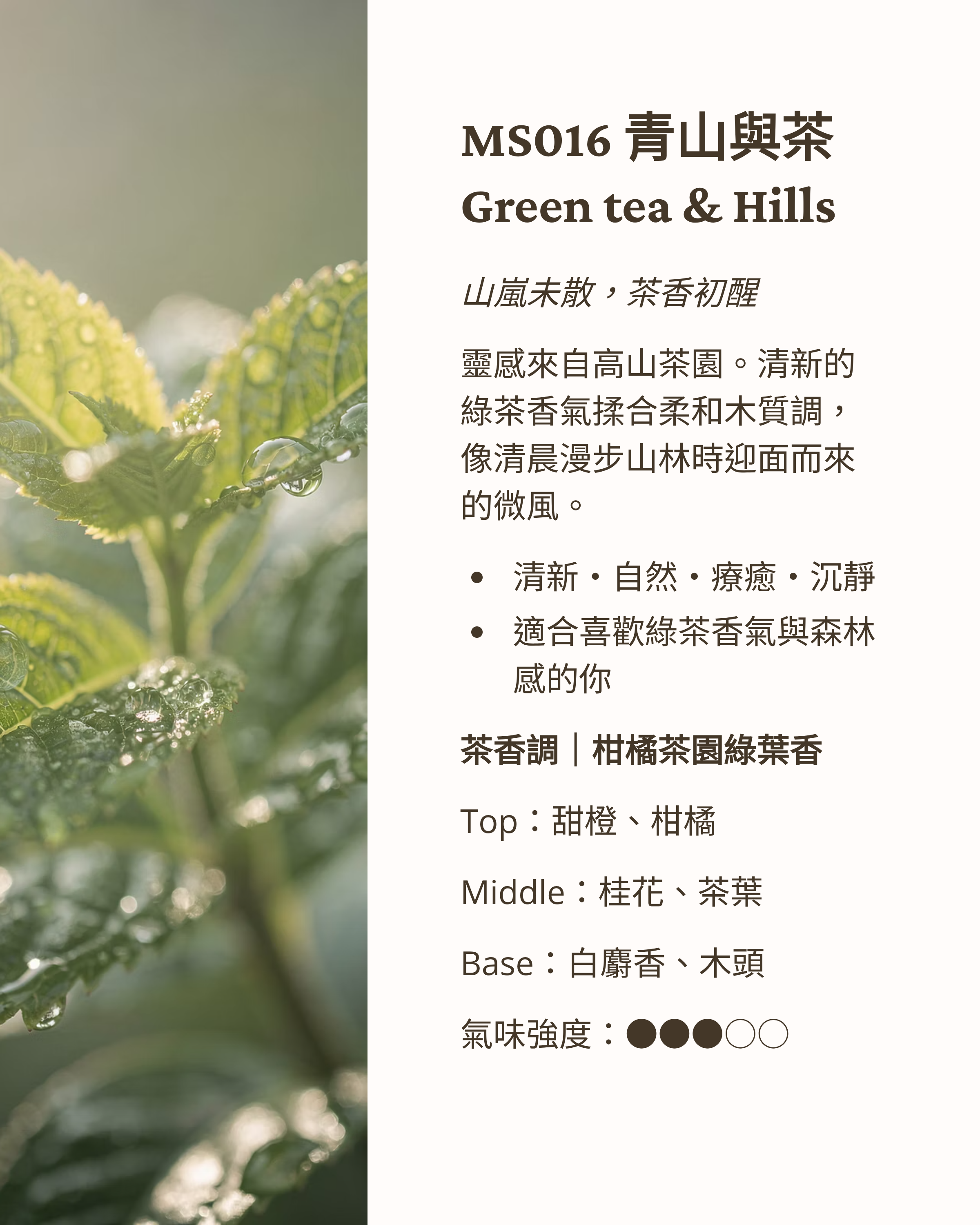 3_MS016-Green-tea-and-Hills