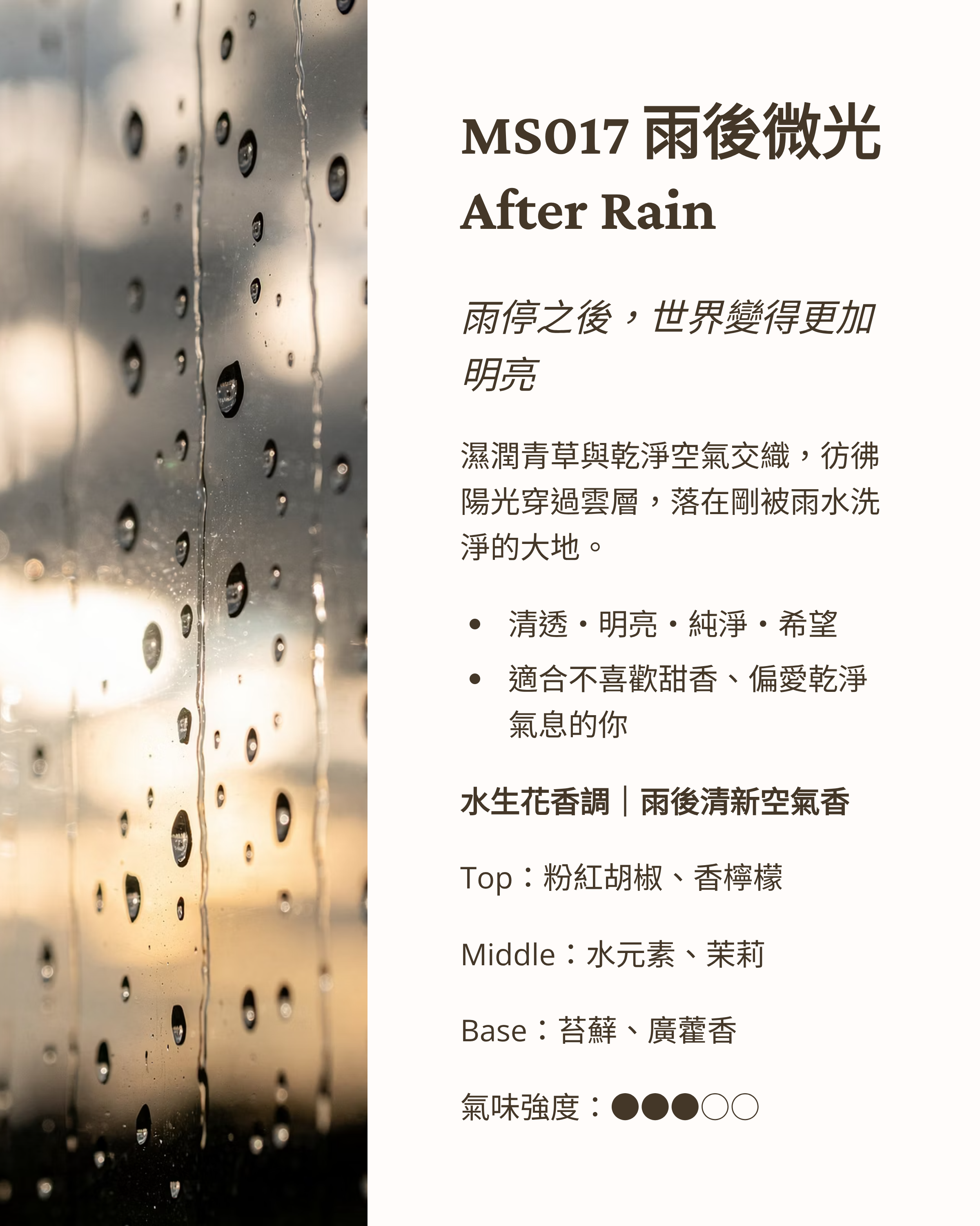 SUMMER-IN-THE-AIR (1)