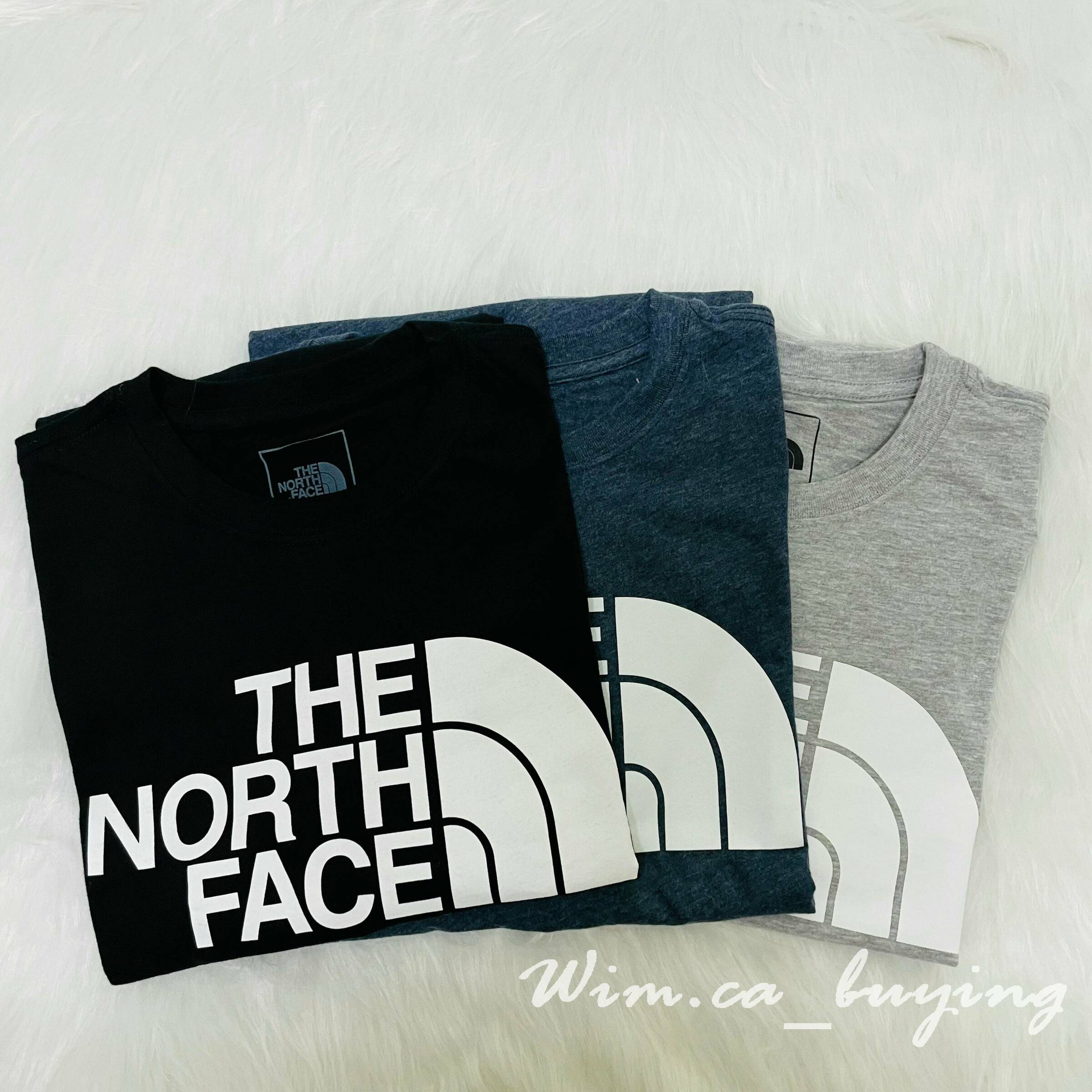 The north face(3).jpg