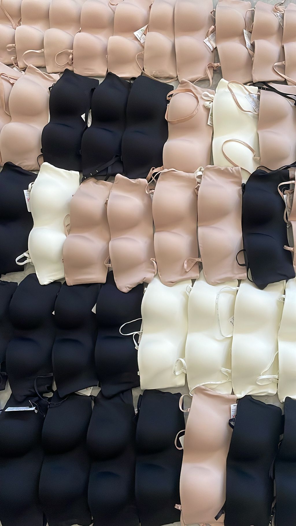 53572640-5018-4374-8ABC-8889788BDDB1