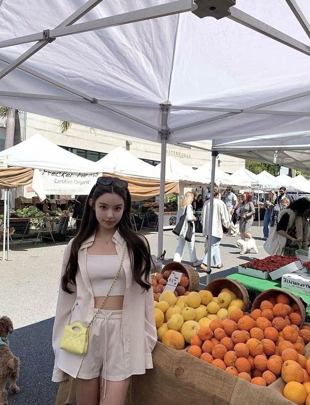 image_923458FE-06ED-4ECA-A315-1082A9FB760A_1755841376