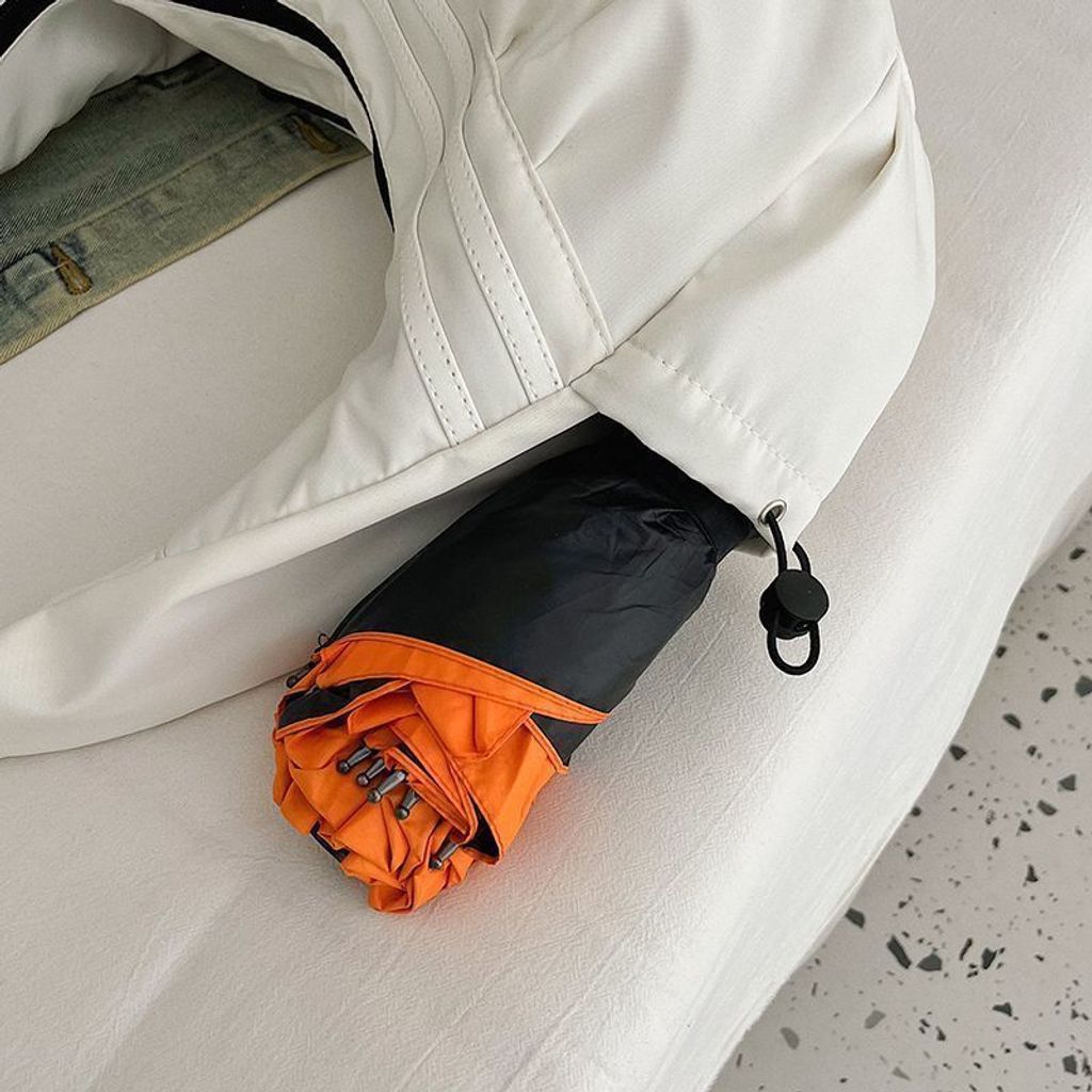 image_C3F816B8-59ED-4A48-A2DC-93E347B70EB3_1765357411