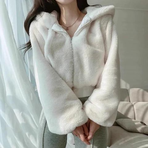 image_C0940293-4E0B-4706-937E-80B7BA6719D7_1766141837