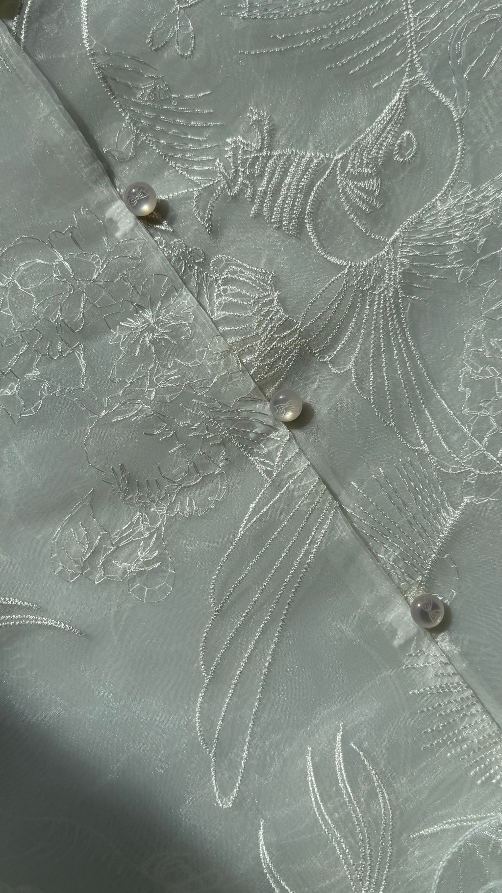 image_B0F18D7D-E02B-4E1D-BC04-6D8BA33D85EA_1768279140