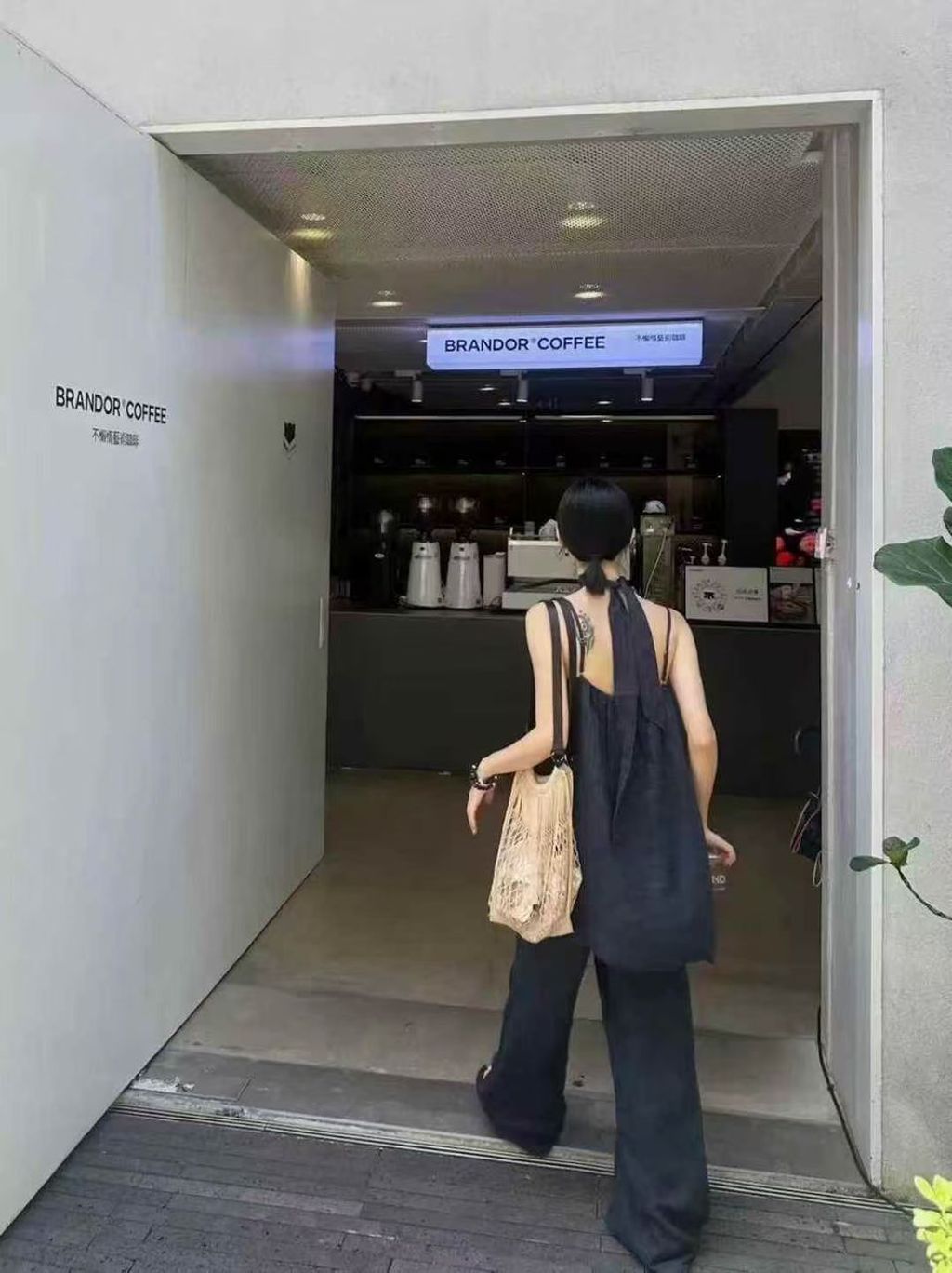 image_22B56BC7-39E1-4CC5-92CC-E2F4775688A2_1768900365