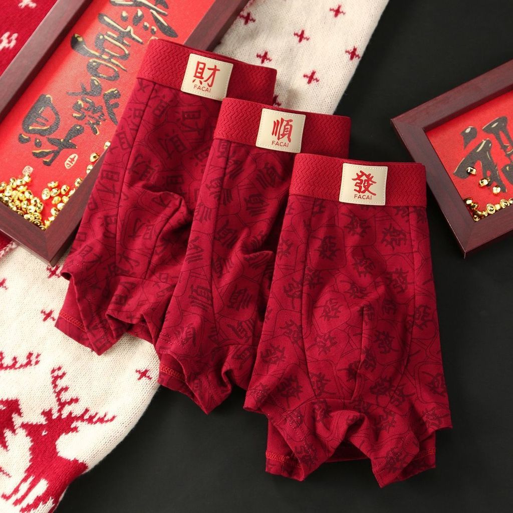 image_97C4769D-515A-4835-9934-08861B19C9D2_1769149258