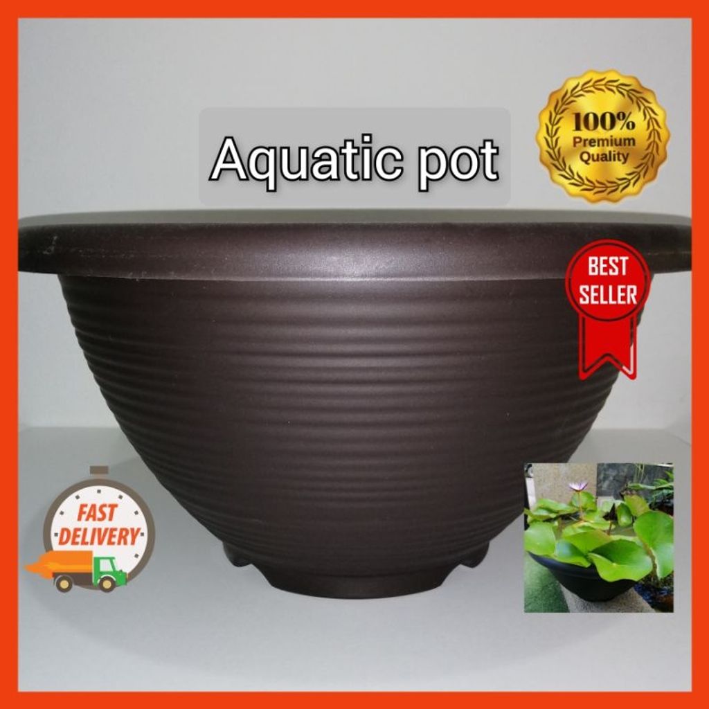 Water Lily Pot Without Hole (Size L) Mypondplants MPP