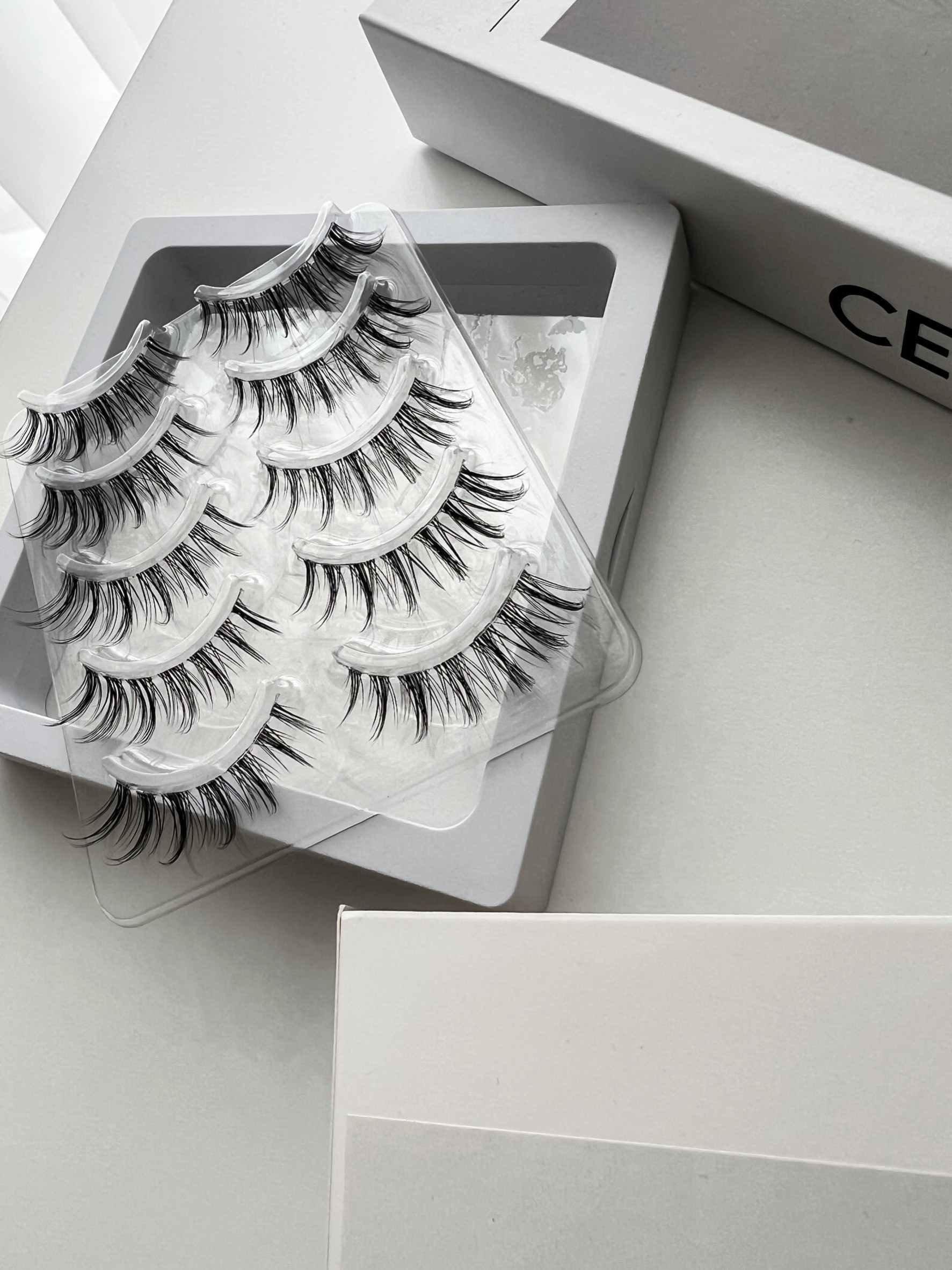 LINE_ALBUM_2025115_251105_1