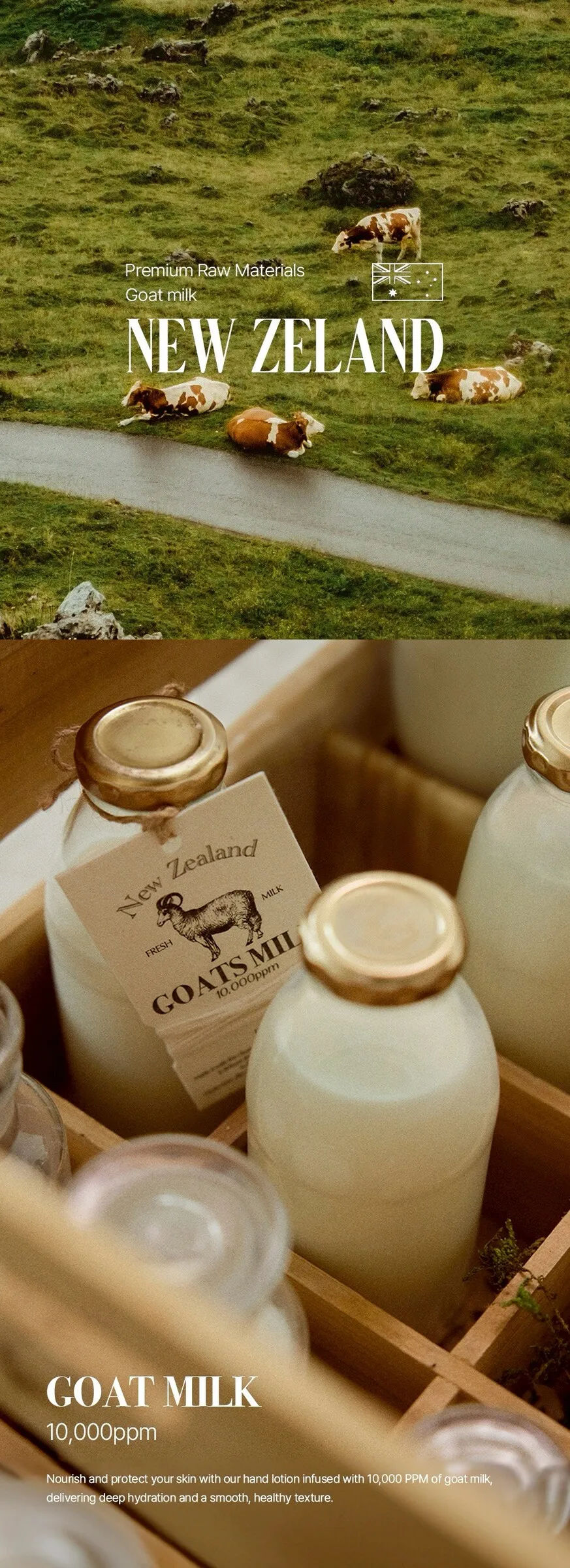 LINE_ALBUM_2026316_260316_35