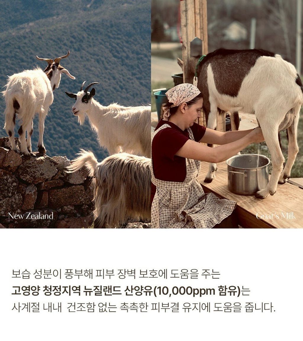 LINE_ALBUM_2026316_260316_41