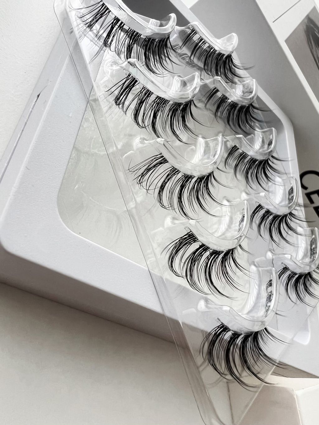 LINE_ALBUM_2025115_251105_5