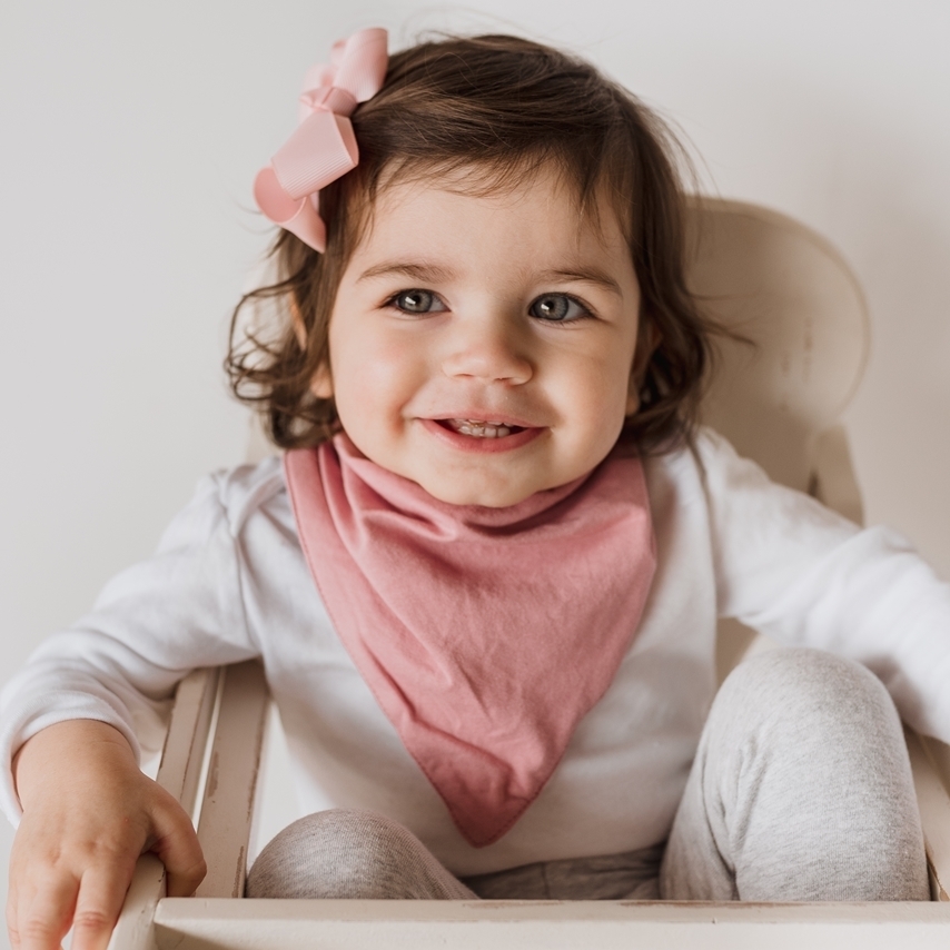 Jewel Pink - Dribble Bib 1.jpeg