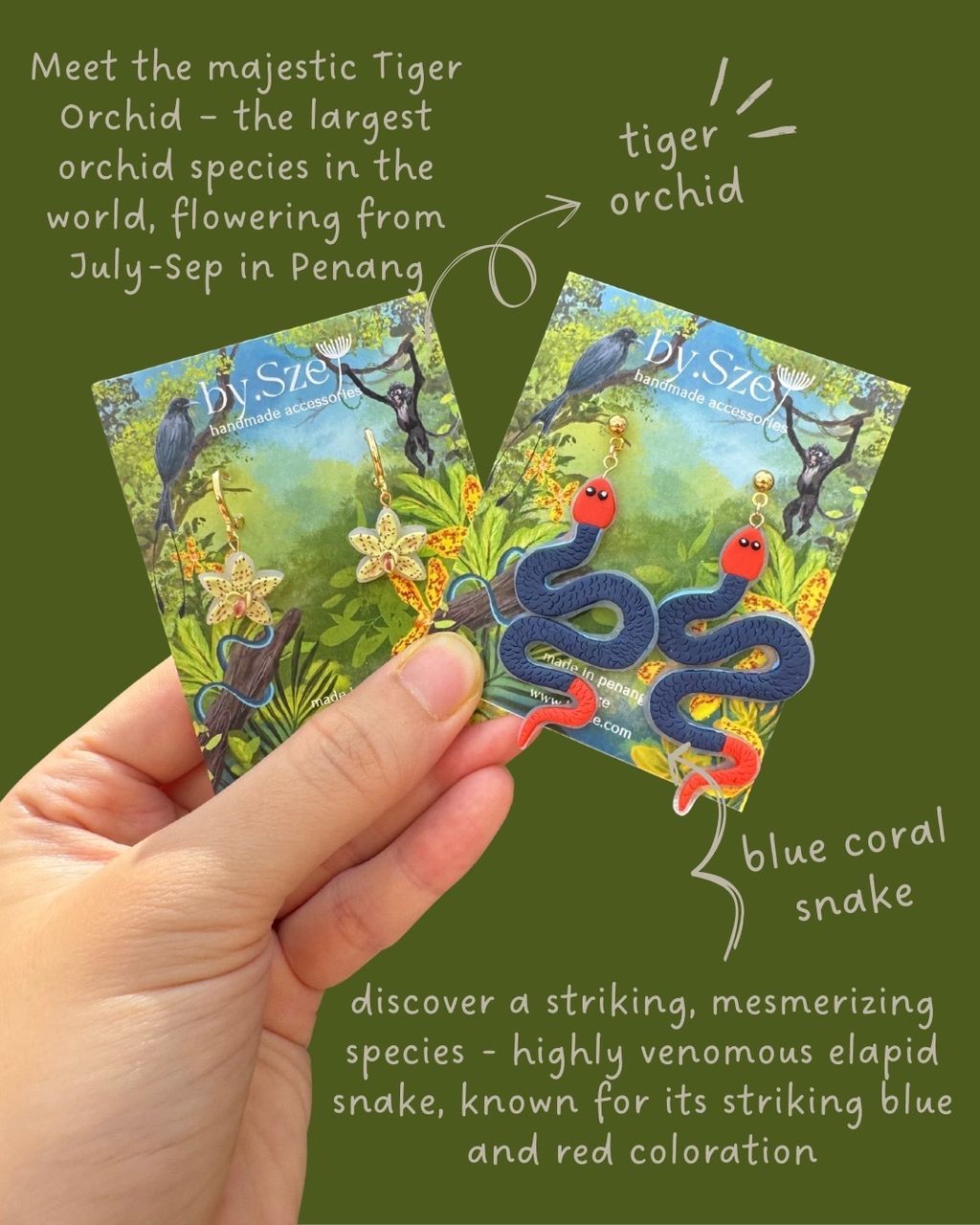 image_B2CF4119-117B-43A8-A88D-917F0FE906EE_1765378000