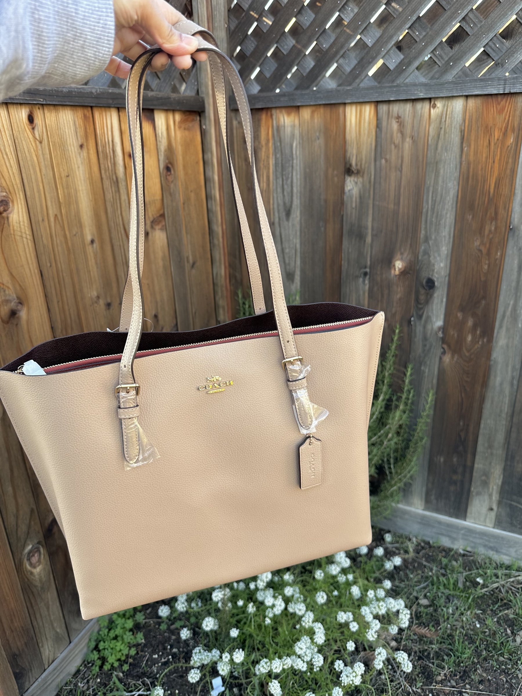 Coach Mollie Tote in Taupe (ETA: Mid Jan)