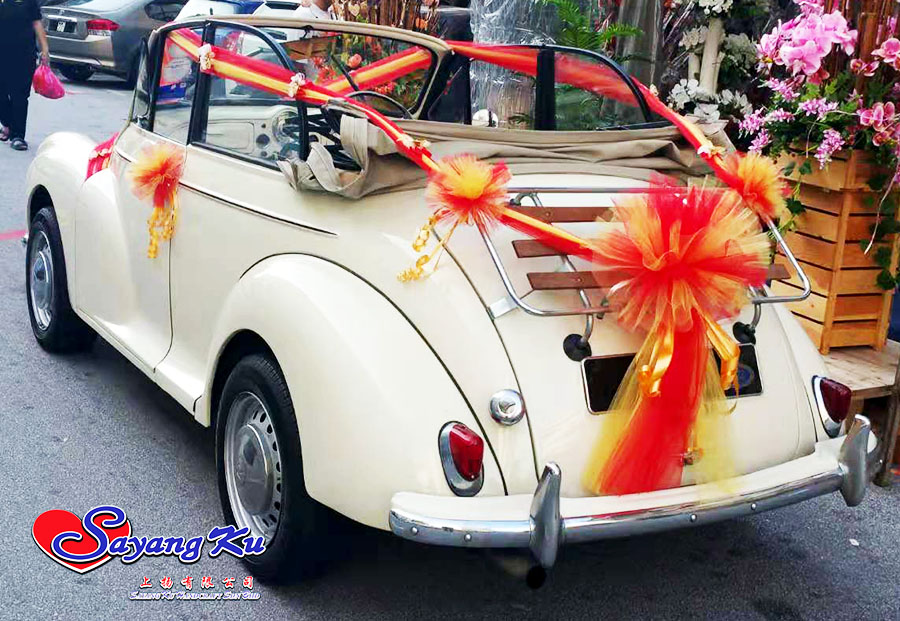 beetle 3.jpg