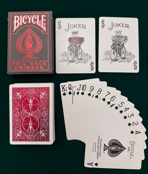 IMG_1595-1704545134654