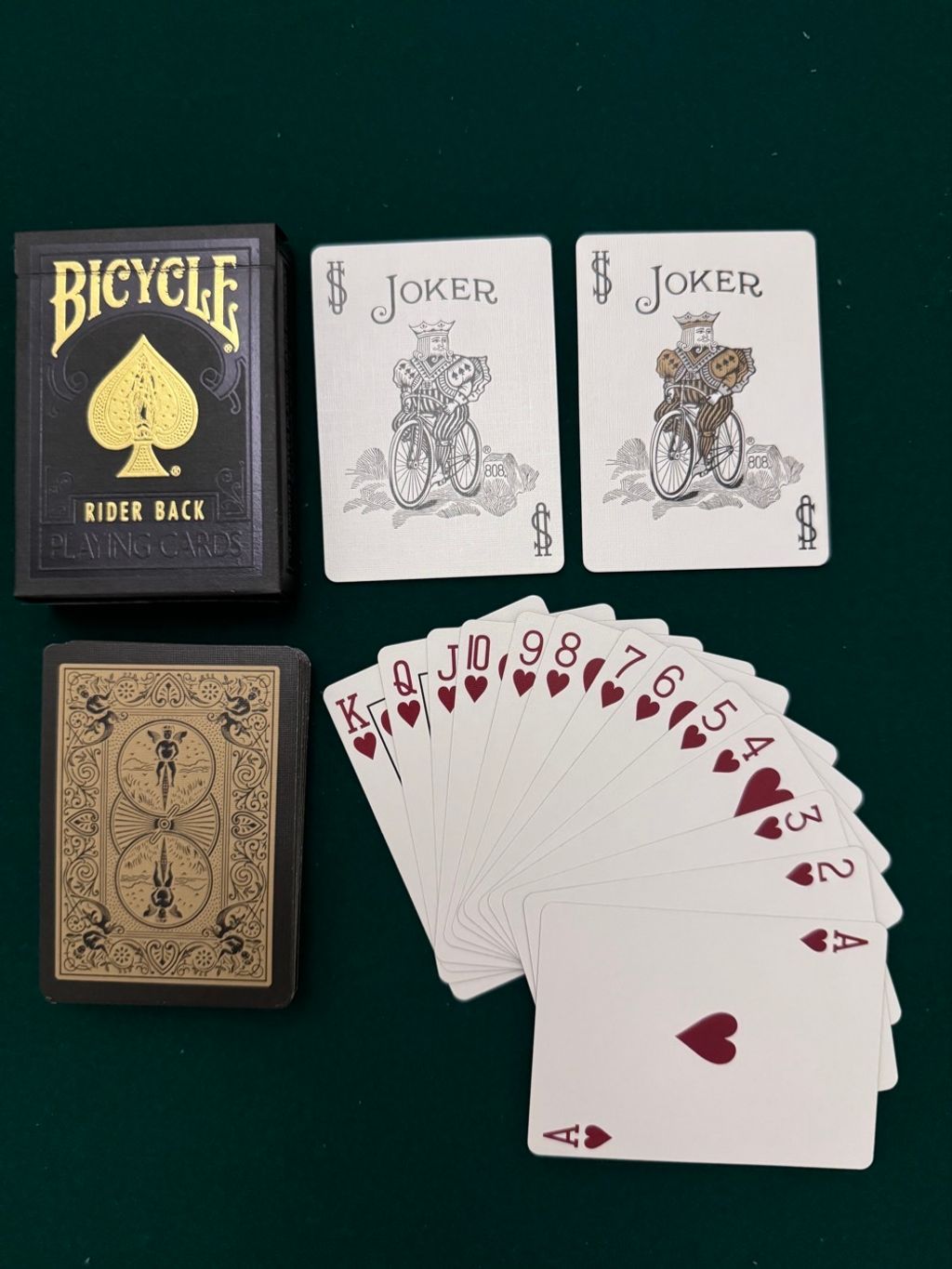 IMG_1601-1704546471382