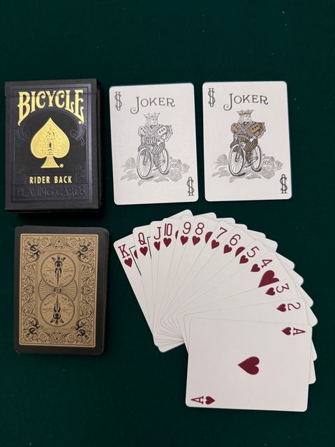 IMG_1601-1704546471382