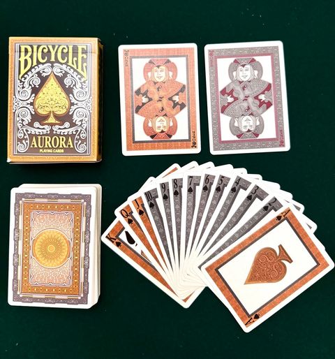 IMG_1613-1704549281486