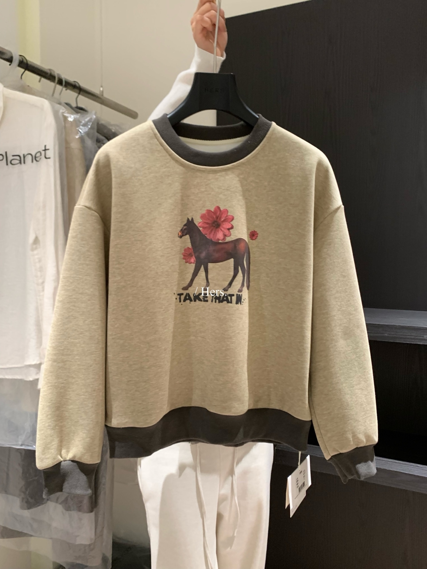 image_097BCE96-1733-4469-9C2C-5073916BEE04_1764584122