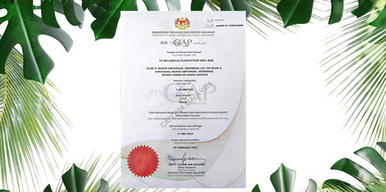 WE ARE CERTIFIED | CAROMA MALAYSIA