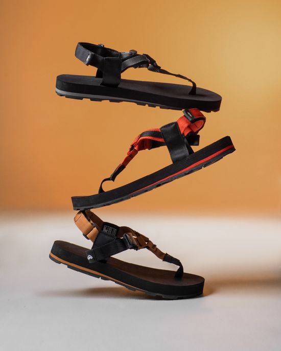 THE PRO SERIES | Rainforest Outdoor