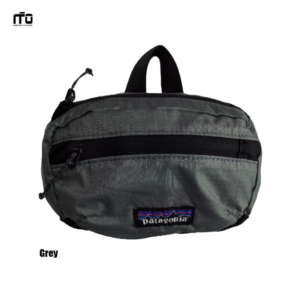 Patagonia Mini Hip Pack grey.png