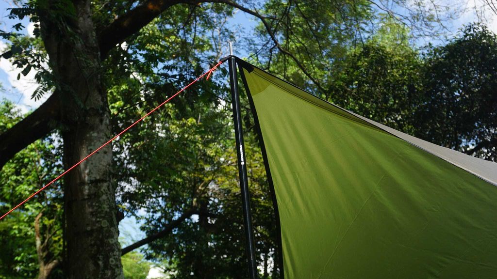 323376715_561456795611388_5546809557052824348_n