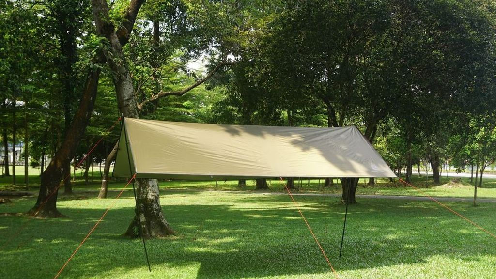 323426319_416430670649635_2676308216196440279_n