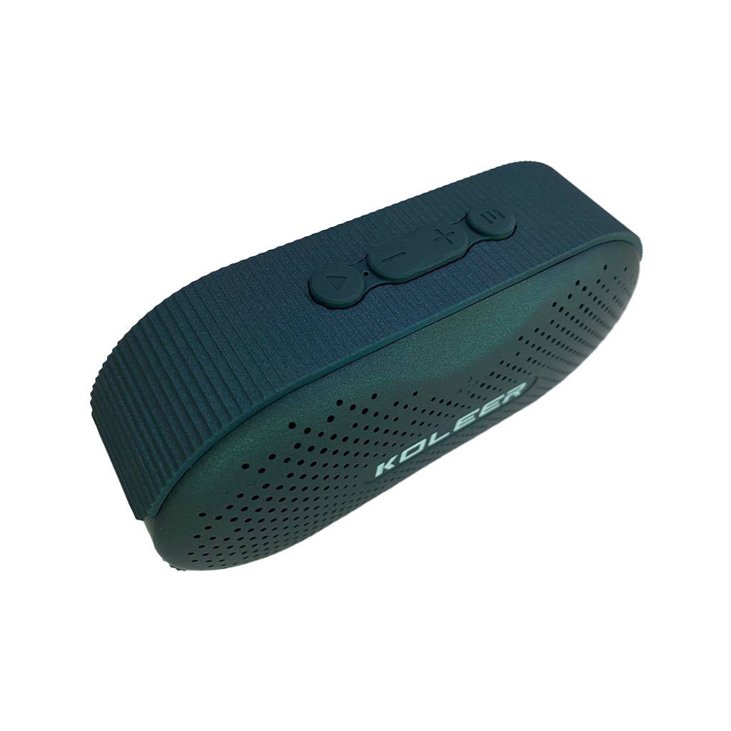 Koller speaker 2